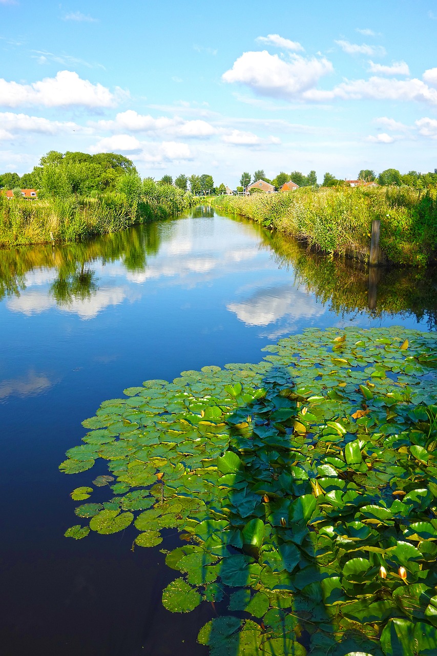 Klimaat, milieu en natuur